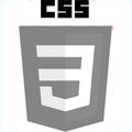 CSS logo