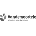 VDM logo